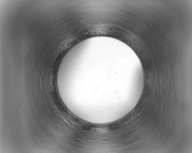 X0000059800548200511181517