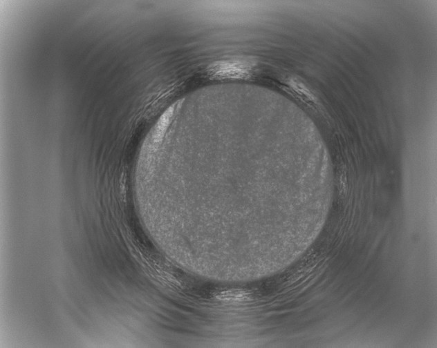 X0000059800551200511181517