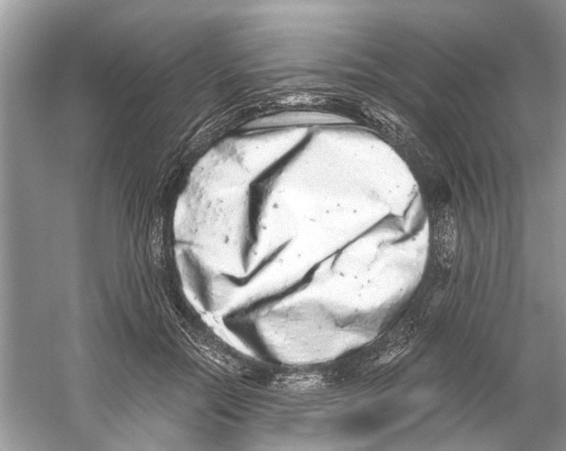 X0000059800554200511181517