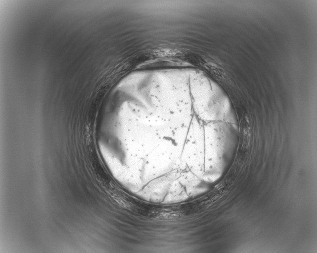 X0000059800555200511181517