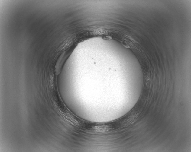 X0000059800556200511181517