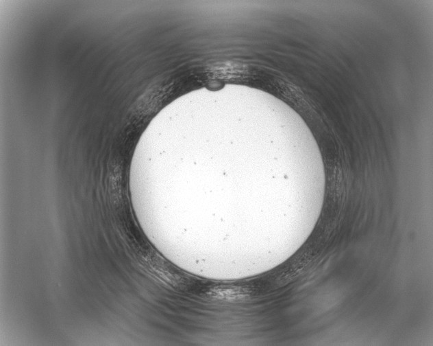 X0000059800557200511181517