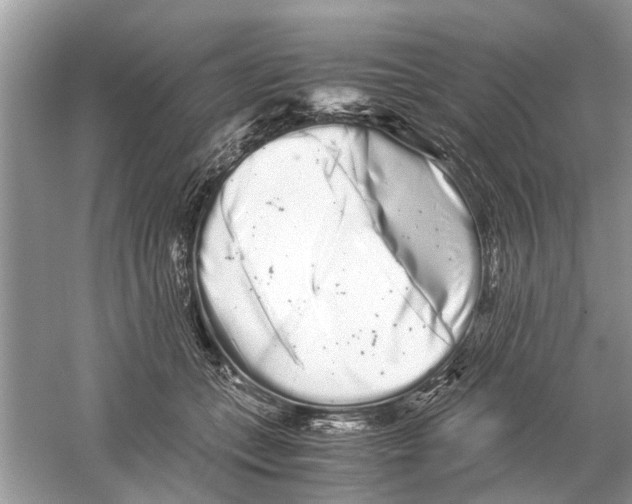 X0000059800559200511181517