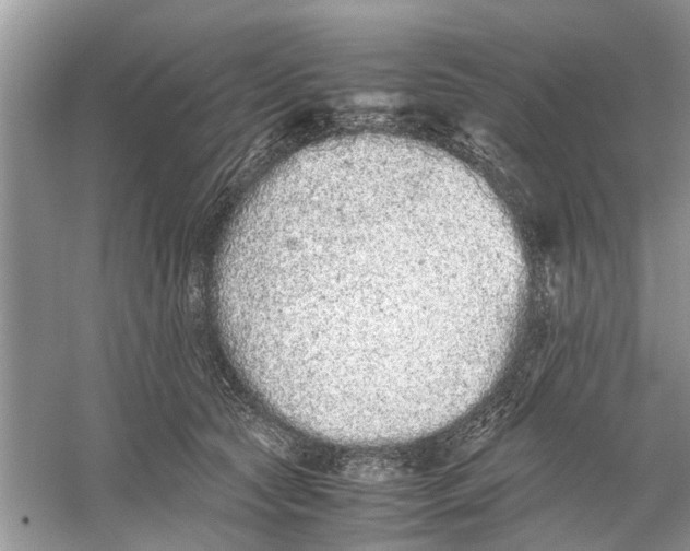 X0000059800561200511181517