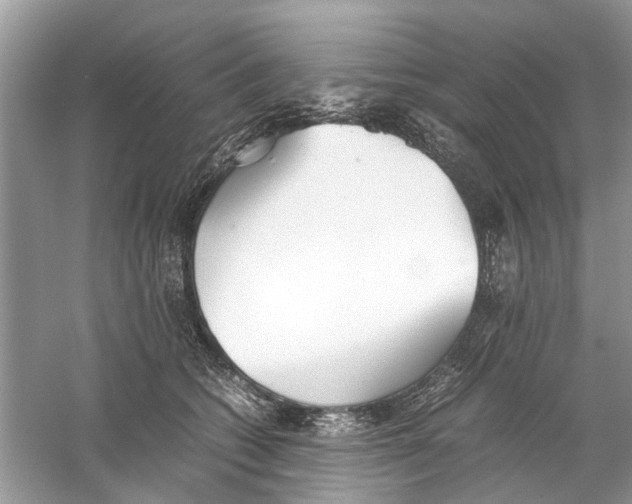 X0000059800562200511181517