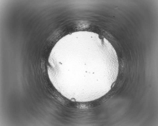 X0000059800565200511181517