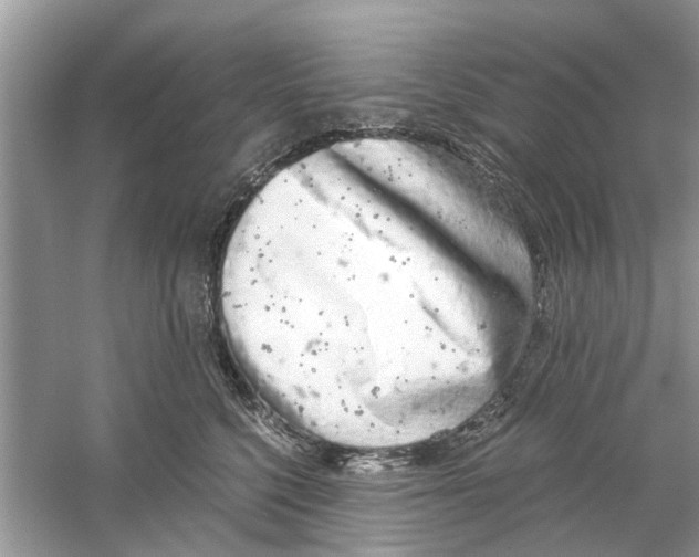 X0000059800568200511181517