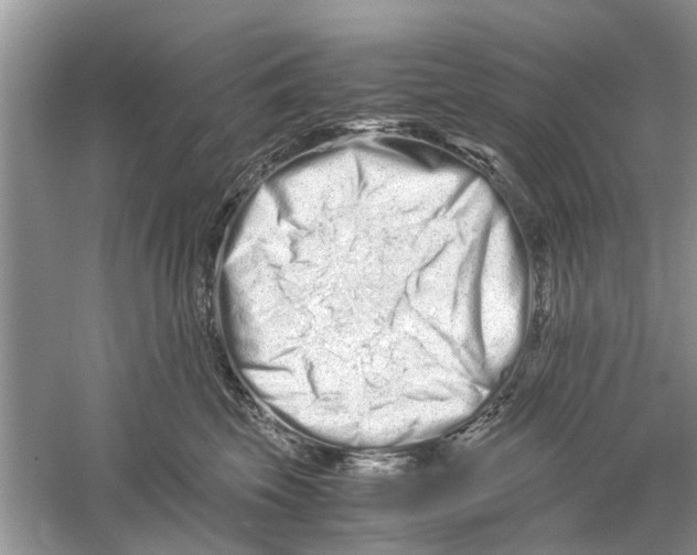 X0000059800569200511181517