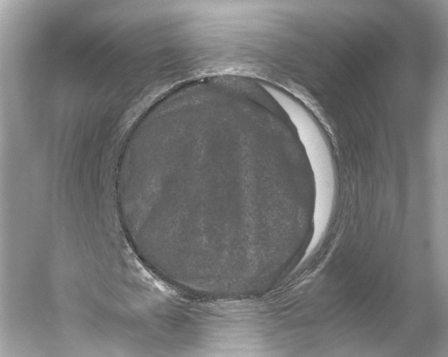 X0000059800577200511181517