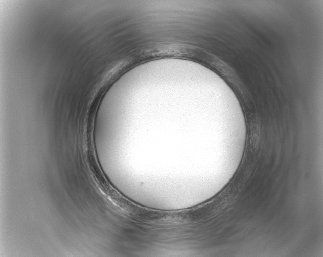 X0000059800578200511181517