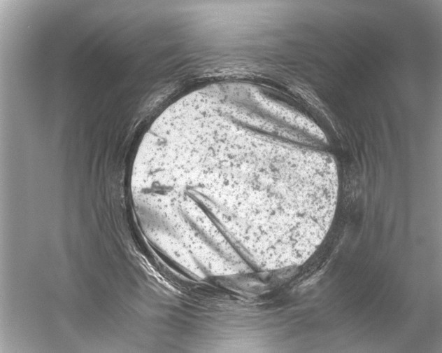 X0000059800585200511181517