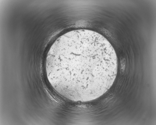 X0000059800588200511181517