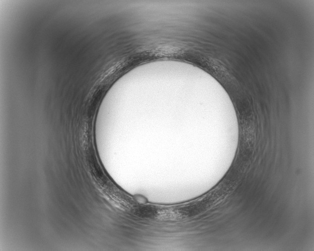 X0000059800591200511181516