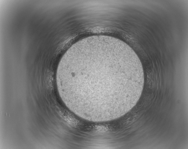 X0000059800592200511181516