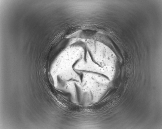 X0000059800593200511181516