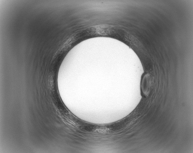 X0000059800595200511181516