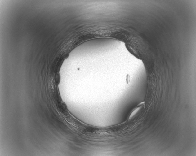 X0000059800597200511181516