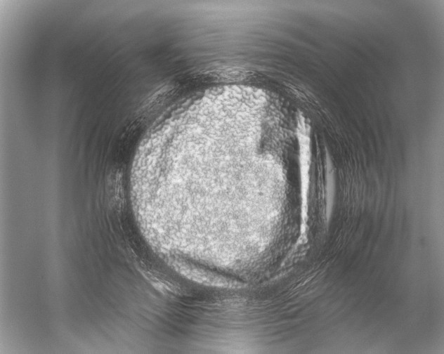 X0000059800598200511181516