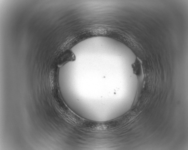 X0000059800600200511181516