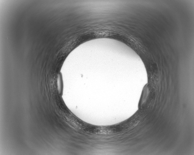 X0000059800601200511181516