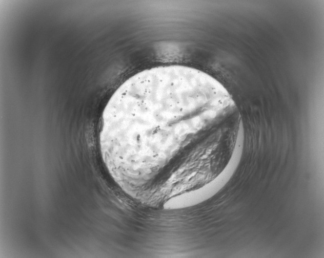 X0000059800620200511181516