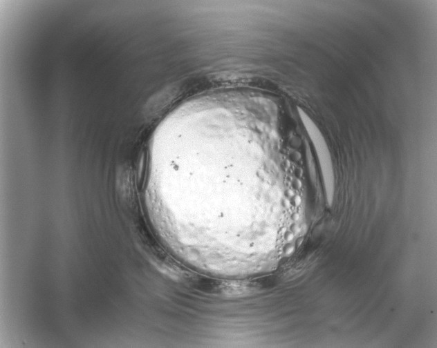 X0000059800623200511181516