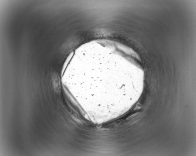 X0000059800624200511181516