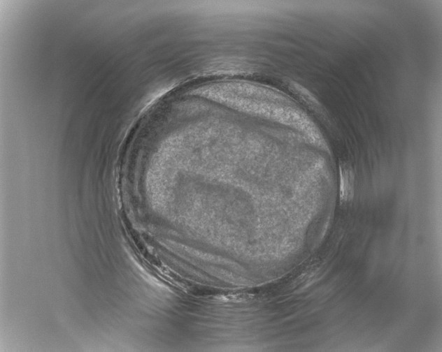 X0000059800627200511181515