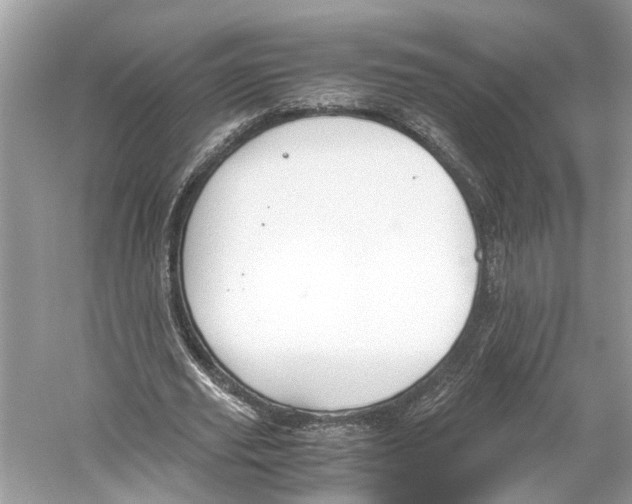 X0000059800629200511181515