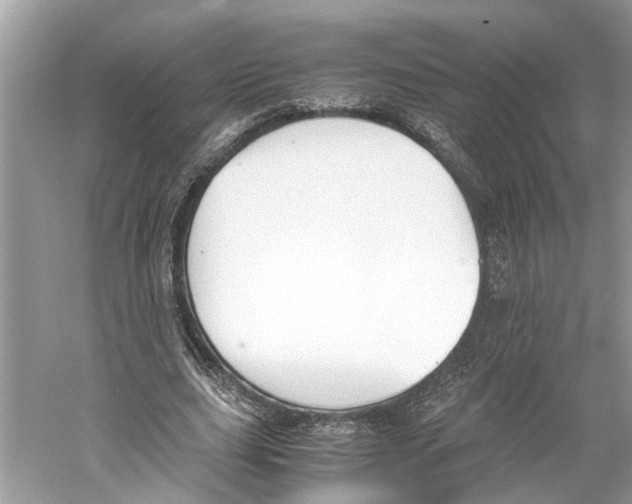 X0000059800631200511181515