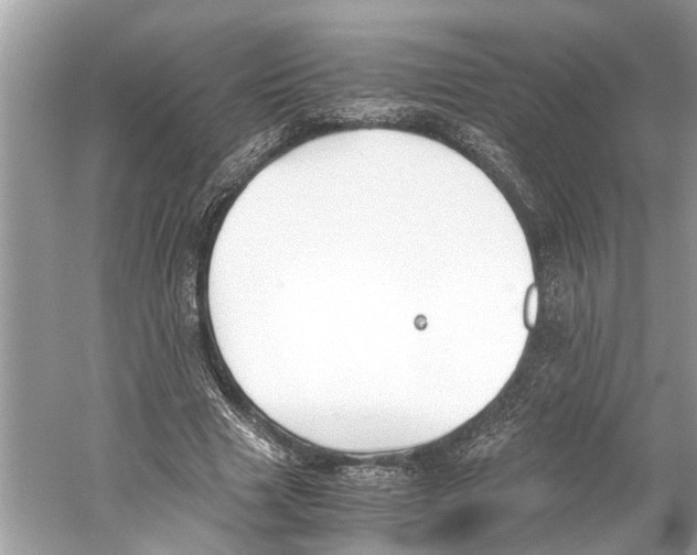 X0000059800633200511181515