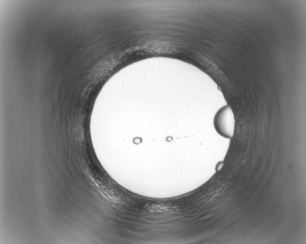 X0000059800635200511181515