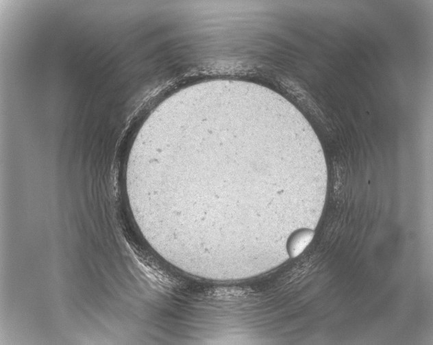 X0000059800636200511181515