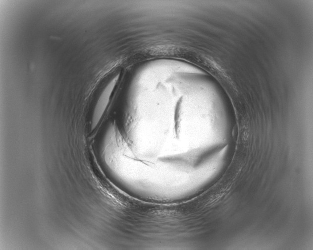 X0000059800637200511181515