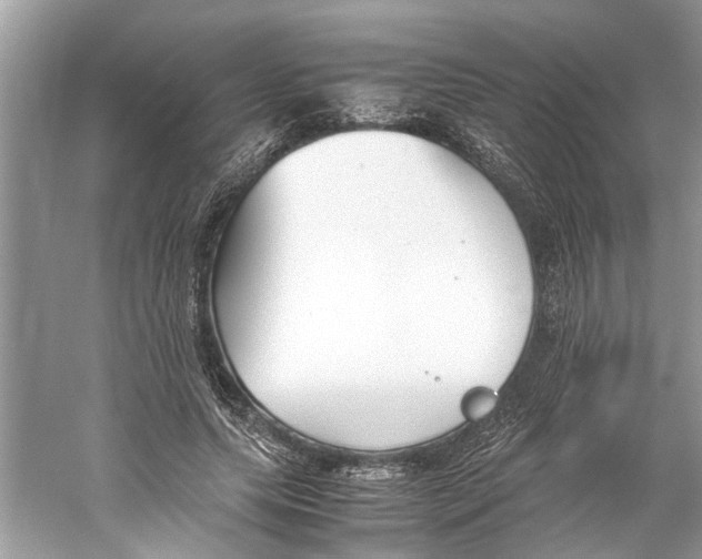 X0000059800639200511181515