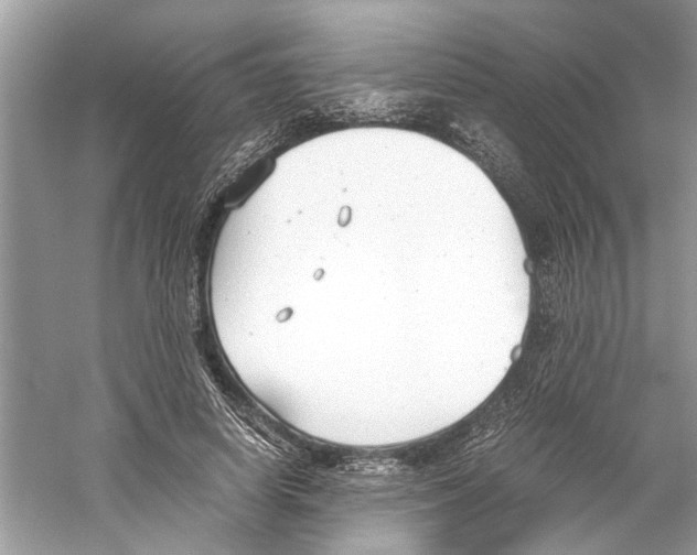 X0000059800642200511181515