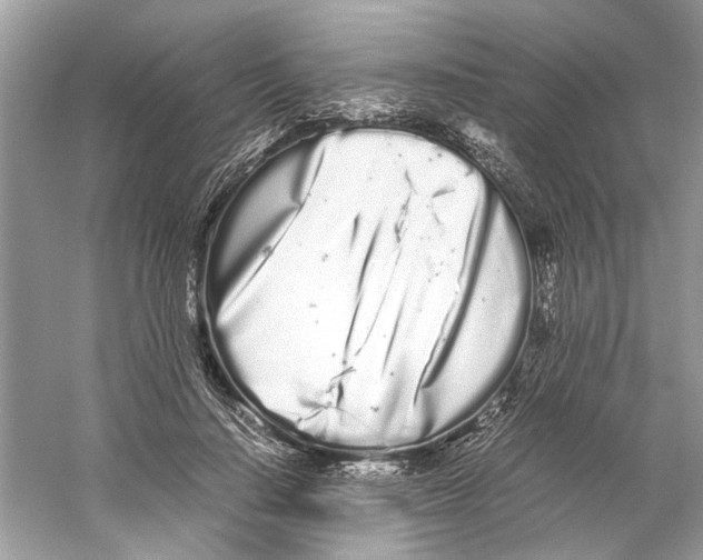 X0000059800644200511181515