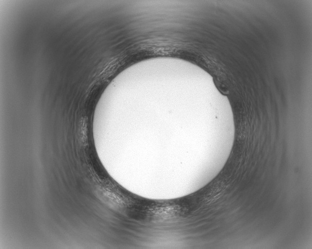 X0000059800646200511181515