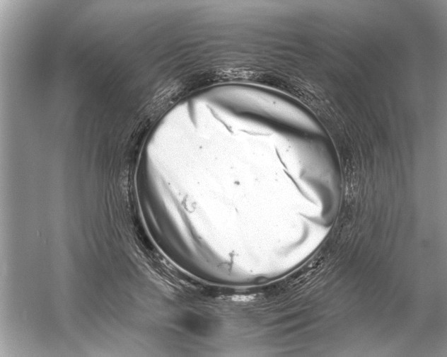 X0000059800647200511181515