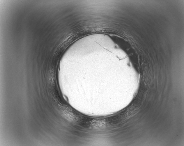 X0000059800648200511181515