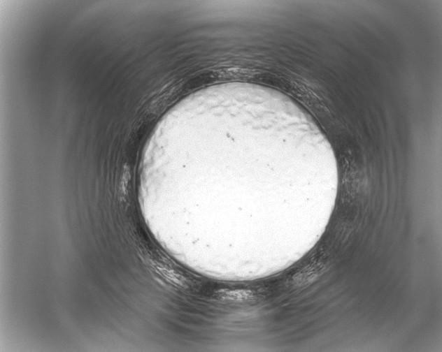 X0000059800649200511181515