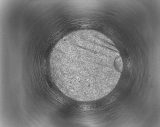 X0000059800650200511181515