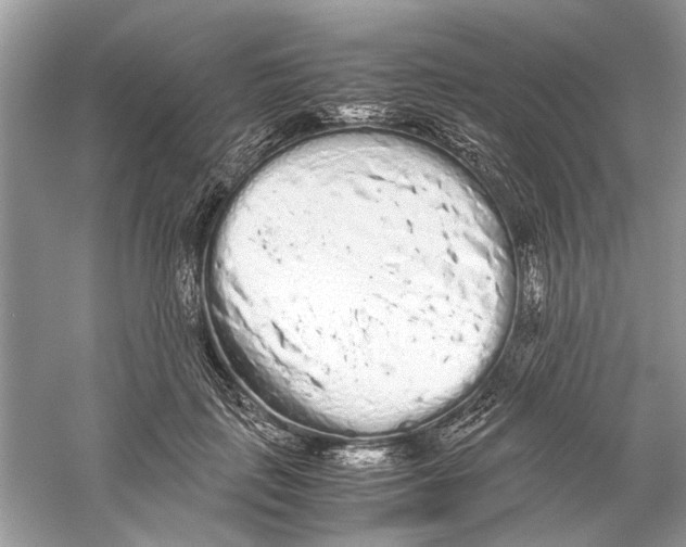 X0000059800651200511181516