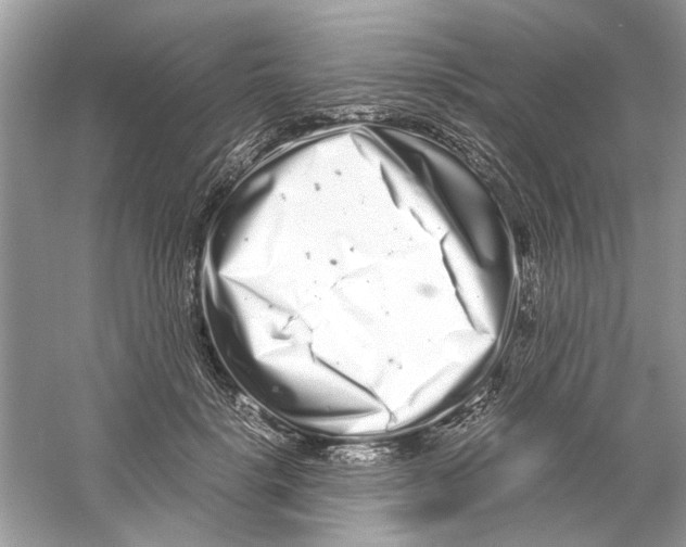 X0000059800652200511181516