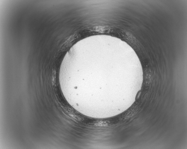 X0000059800656200511181516