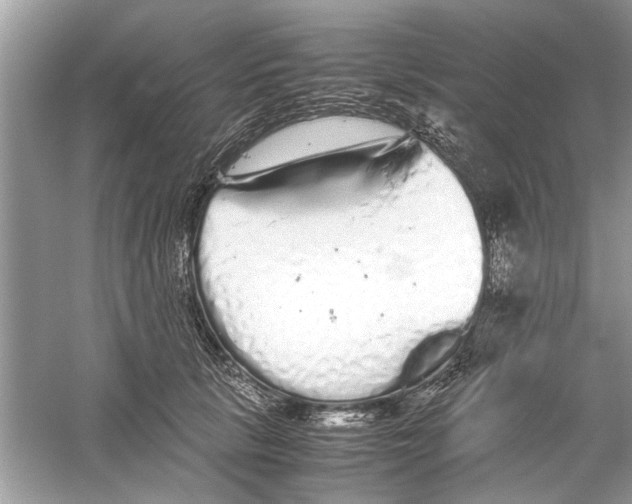 X0000059800657200511181516