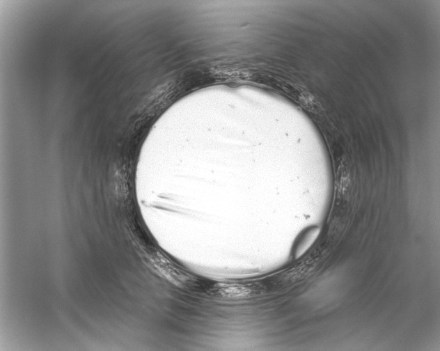 X0000059800658200511181516