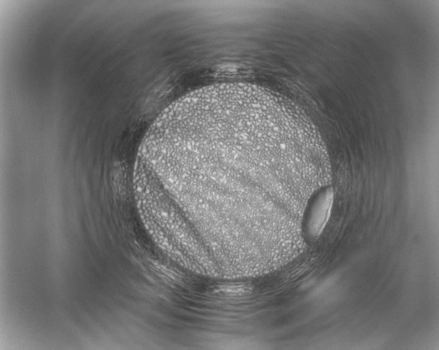 X0000059800659200511181516