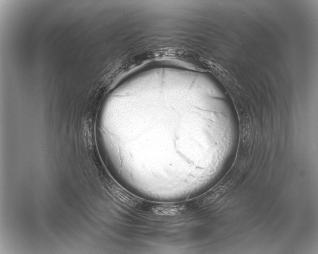 X0000059800661200511181516