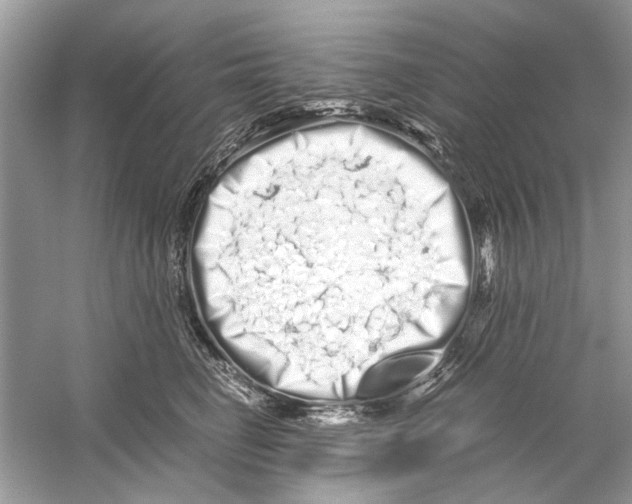 X0000059800662200511181516